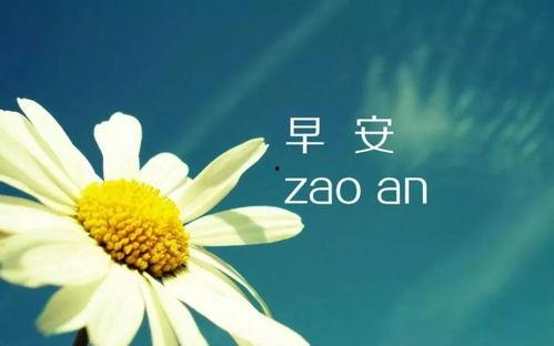 娱乐吃瓜扎心文案短句图片,短句图片背后的故事